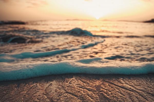 &quot;反常行径揭秘!四大生肖男散发独特魅力,对待好他却不珍惜!&quot;