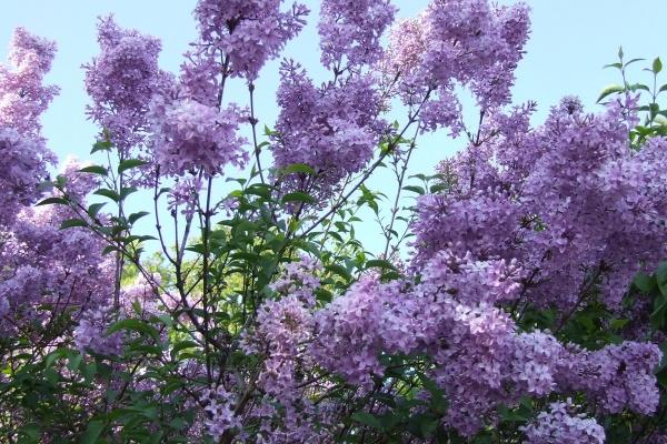 &quot;珍惜矛盾之谜!四大生肖男展现新颖魅力,对待好他却不珍惜!&quot;