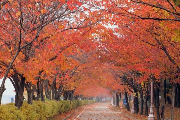 属虎今日运势