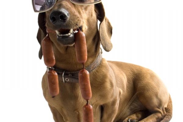 &quot;婚姻幸福时刻!最有可能靠结婚转运的四大生肖女展现独特魅力!&quot;