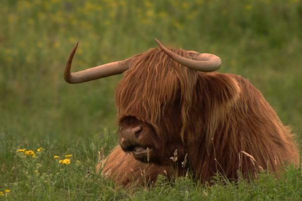 2024年96年属鼠结婚大利月，什么时候结婚好