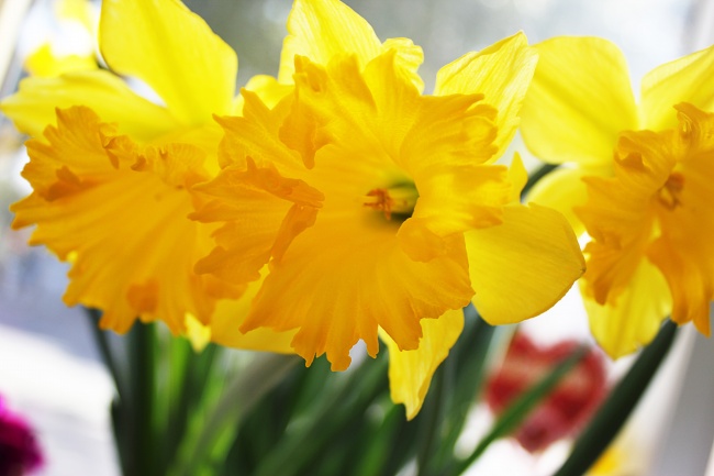 属蛇今日运势 属蛇今日运势