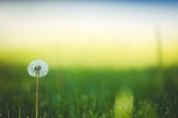 属羊今日运势 属羊今日运势