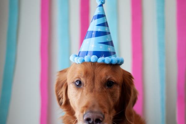 属虎今日运势 属虎今日运势