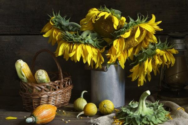 专属缘分!四生肖一旦爱上你,绝对忠诚! 专属缘分!四生肖一旦爱上你,绝对忠诚!