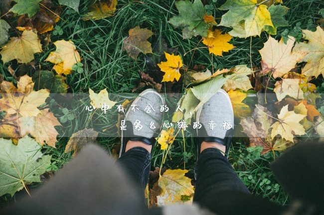 "爱情至尊!四大生肖女教你如何找到值得你用一辈子去爱的人!" "爱情至尊!四大生肖女教你如何找到值得你用一辈子去爱的人!"