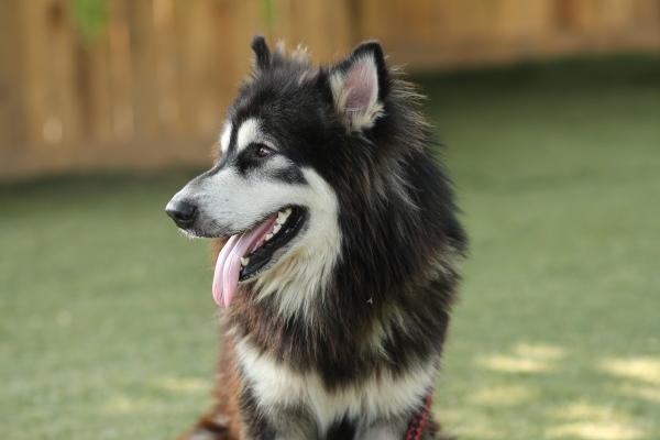 &quot;幸福婚姻大揭秘!最有可能靠结婚转运的四大生肖女点亮新颖吸引力的人生!&quot;