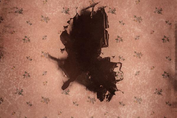 和属虎的相克的属相有哪些 属虎的相生相克