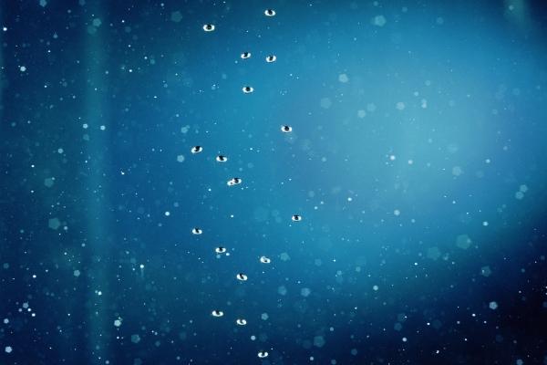 1996年属鼠的转折点在哪年，96年属鼠什么时候转运