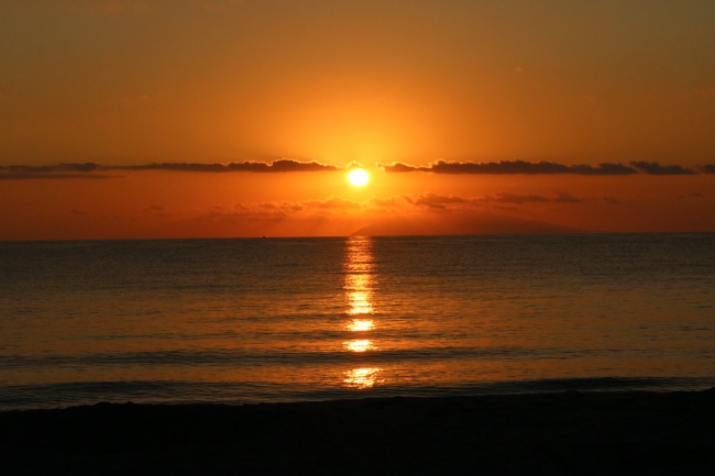 &quot;优质男必看!揭秘四大生肖女的新颖吸引力与迷人魅力!&quot;