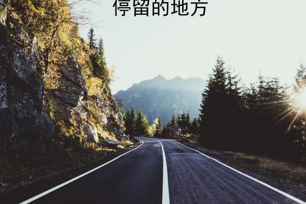 属牛2023年8月运势详解，健康问题需留心