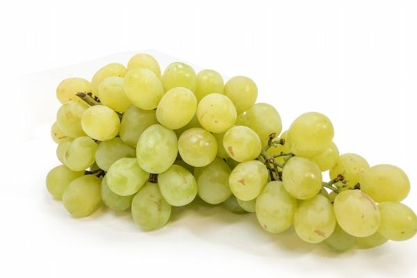 &quot;爱情催化剂!四大生肖女带你领略旺夫运的奇妙魔力!&quot;