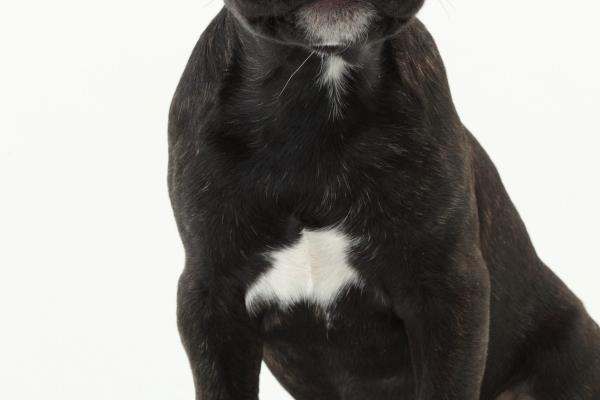 &quot;爱情领域的颠覆者!四大生肖女教你如何逆袭恋爱倒贴!&quot;