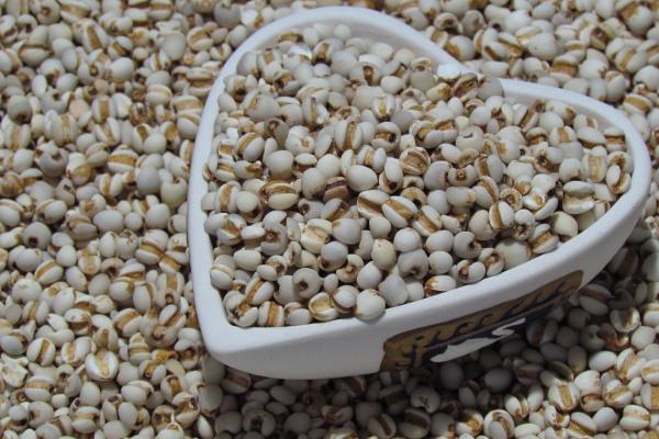 1962年是属什么生肖 属虎人性格怎么样 1962年是属什么生肖 属虎人性格怎么样