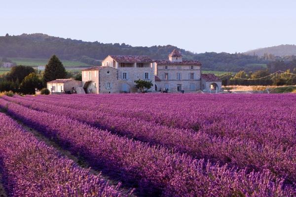 2023年8月20日冲什么生肖 今日属相冲什么 2023年8月20日冲什么生肖 今日属相冲什么