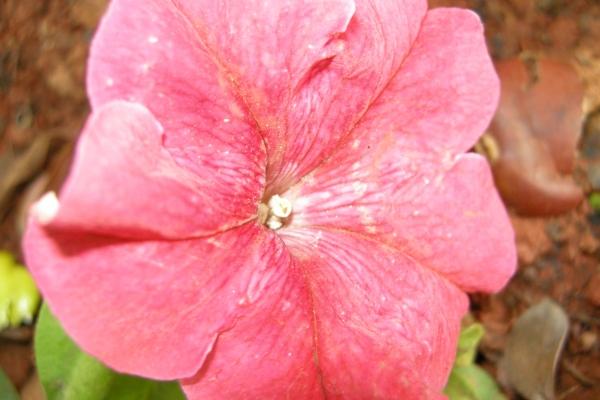 第一运程 2023年9月23日十二生肖运势解析 第一运程 2023年9月23日十二生肖运势解析