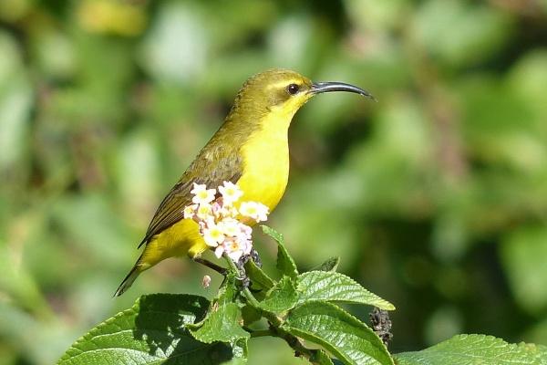 第一运程 2023年9月8日十二生肖运势解析 第一运程 2023年9月8日十二生肖运势解析