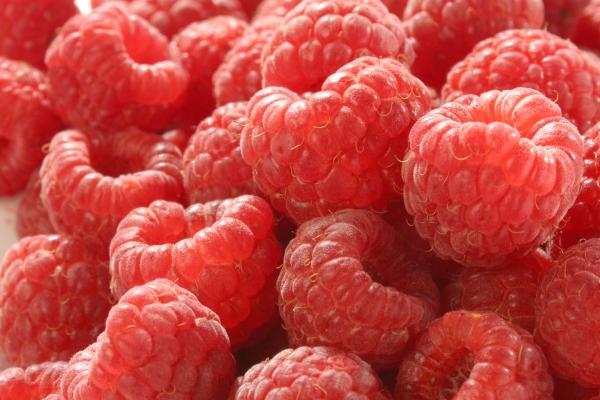 &quot;引爆心动!揭秘四大生肖女的新颖吸引力与暧昧天赋!&quot;