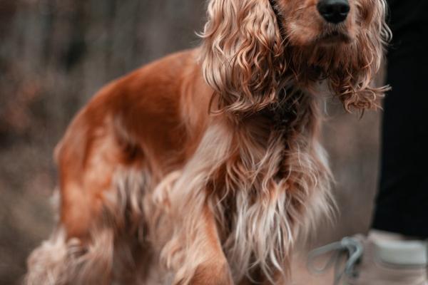 2024年6月财运逆天的生肖 蛇牛猴生财有道财源滚滚 2024年6月财运逆天的生肖 蛇牛猴生财有道财源滚滚