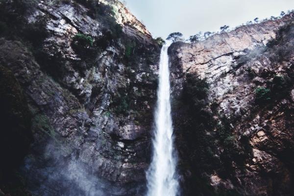 1988年属什么生肖啥命 属龙人的命运如何 1988年属什么生肖啥命 属龙人的命运如何