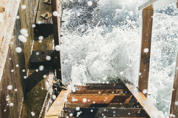 1994年属狗人2024年全年运势详解 30岁生肖狗2024年每月运势 1994年属狗人2024年全年运势详解 30岁生肖狗2024年每月运势