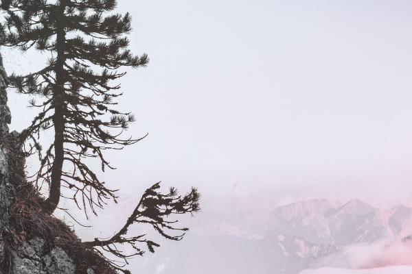 属猴人2024年整体运势及运程 2024年属猴人的全年运势详解 属猴人2024年整体运势及运程 2024年属猴人的全年运势详解