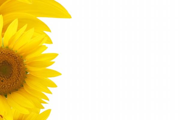 2024年7月十二生肖运势排行榜 你是幸运属相吗 2024年7月十二生肖运势排行榜 你是幸运属相吗