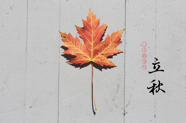 今年马跟什么属相相冲 如何化解属相相冲 今年马跟什么属相相冲 如何化解属相相冲