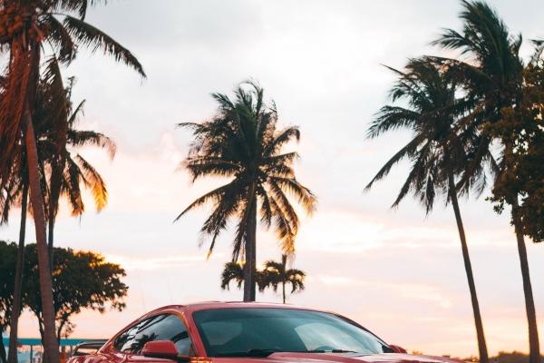 属兔人49岁有一场大灾难 属兔49岁命里有一难指的是什么