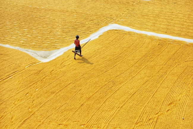 2024年12月正桃花最好的生肖 猴蛇兔桃花大开喜事成双 2024年12月正桃花最好的生肖 猴蛇兔桃花大开喜事成双