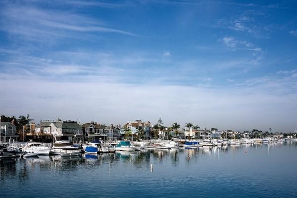 1986年属虎人2024年全年运势详解  38岁生肖虎2024年每月运势