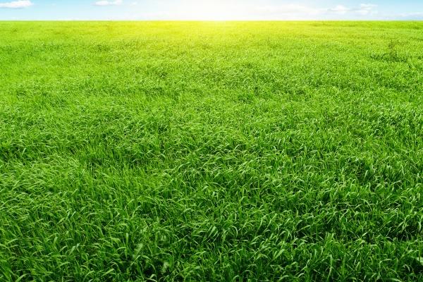 属蛇的人适合搞养殖业吗，有什么说法