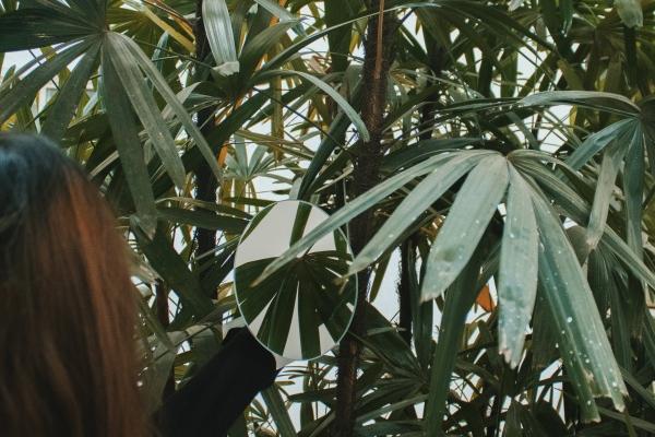 93鸡94狗婚配为大忌?二者的婚姻走势与化解分析 93鸡94狗婚配为大忌?二者的婚姻走势与化解分析