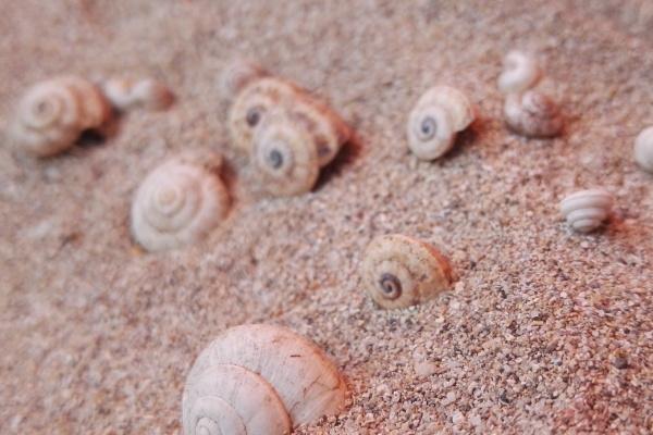 1997年属牛人2024年全年运势详解 27岁生肖牛2024年每月运程 1997年属牛人2024年全年运势详解 27岁生肖牛2024年每月运程