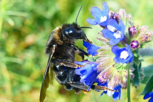 2006年属狗人2024年全年运势详解 18岁生肖狗2024年每月运势 2006年属狗人2024年全年运势详解 18岁生肖狗2024年每月运势