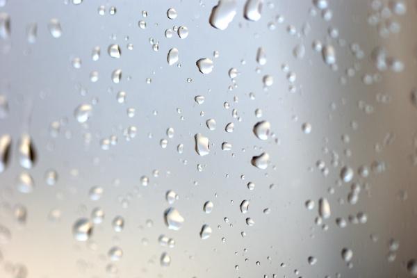 1955年属羊人2024年全年运势详解  69岁生肖羊2024年每月运势