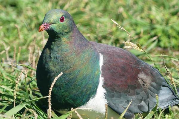 2001年属蛇人2024年全年运势详解 23岁生肖蛇2024年每月运势 2001年属蛇人2024年全年运势详解 23岁生肖蛇2024年每月运势