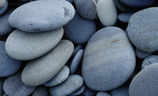 属虎人2024年整体运势及运程 2024年属虎人的全年运势详解 属虎人2024年整体运势及运程 2024年属虎人的全年运势详解