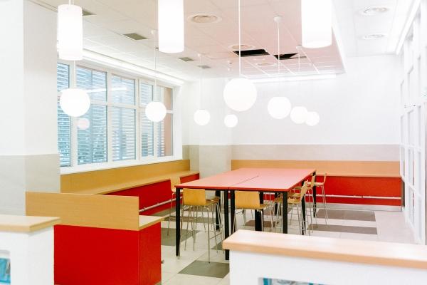 2024年哪种生肖好 哪些生肖运势极差 2024年哪种生肖好 哪些生肖运势极差