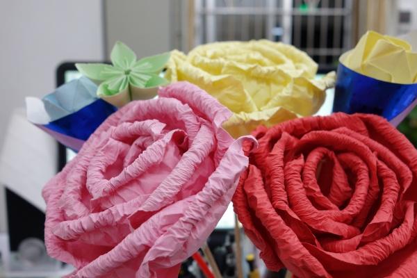 属龙人养什么宠物最好，适合属龙人的宠物