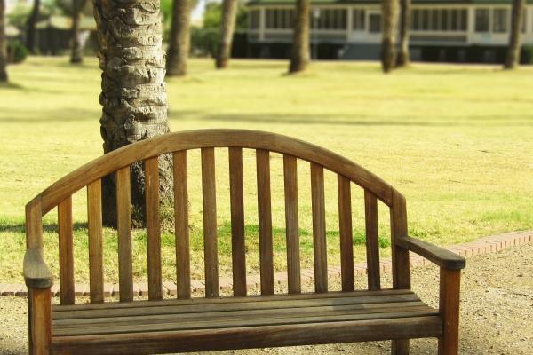 1988年属龙人2024年全年运势详解 36岁生肖龙2024年每月运势 1988年属龙人2024年全年运势详解 36岁生肖龙2024年每月运势