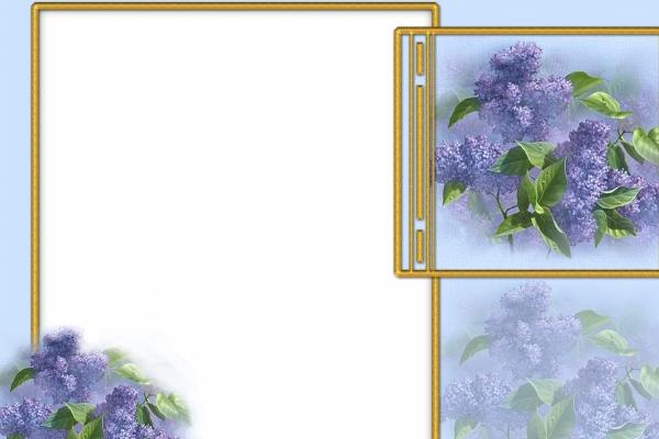 2024年最旺最顺的生肖 职场上有贵人相助