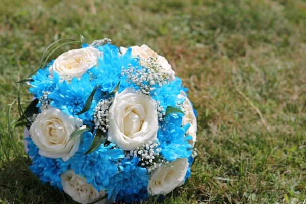 鼠和哪个属相最合适 和谁才是天作之合 鼠和哪个属相最合适 和谁才是天作之合