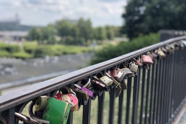 属猪人2024年整体运势及运程 2024年属猪人的全年运势详解 属猪人2024年整体运势及运程 2024年属猪人的全年运势详解