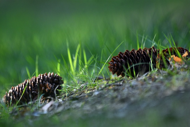 1983年属猪人2024年全年运势详解 41岁生肖猪2024年每月运势 1983年属猪人2024年全年运势详解 41岁生肖猪2024年每月运势