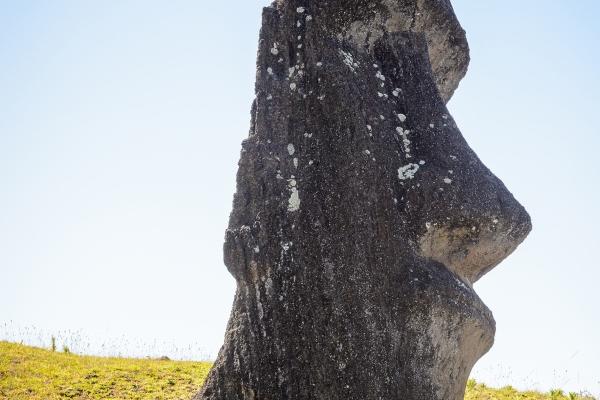 1961年属牛人2024年全年运势详解 63岁生肖牛2024年每月运程 1961年属牛人2024年全年运势详解 63岁生肖牛2024年每月运程
