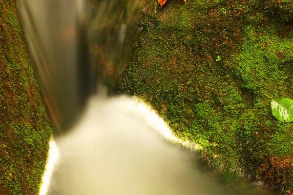 1968年属猴人2024年全年运势详解  56岁生肖猴2024年每月运势