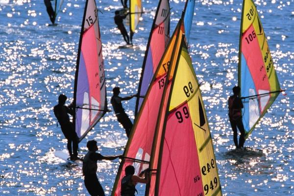 2024年7月财运最旺最顺的生肖 属相蛇聚财不散求财顺利 2024年7月财运最旺最顺的生肖 属相蛇聚财不散求财顺利