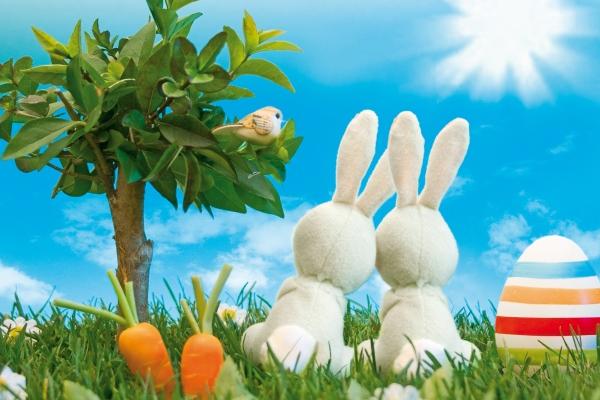 为什么说龙狗越冲越旺,龙配狗有哪些说法? 为什么说龙狗越冲越旺,龙配狗有哪些说法?