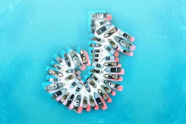 1986属虎的发财数字车牌 选择车牌的建议